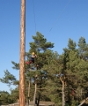 Power Park