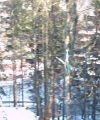 Przygoda Park