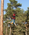 Power Park